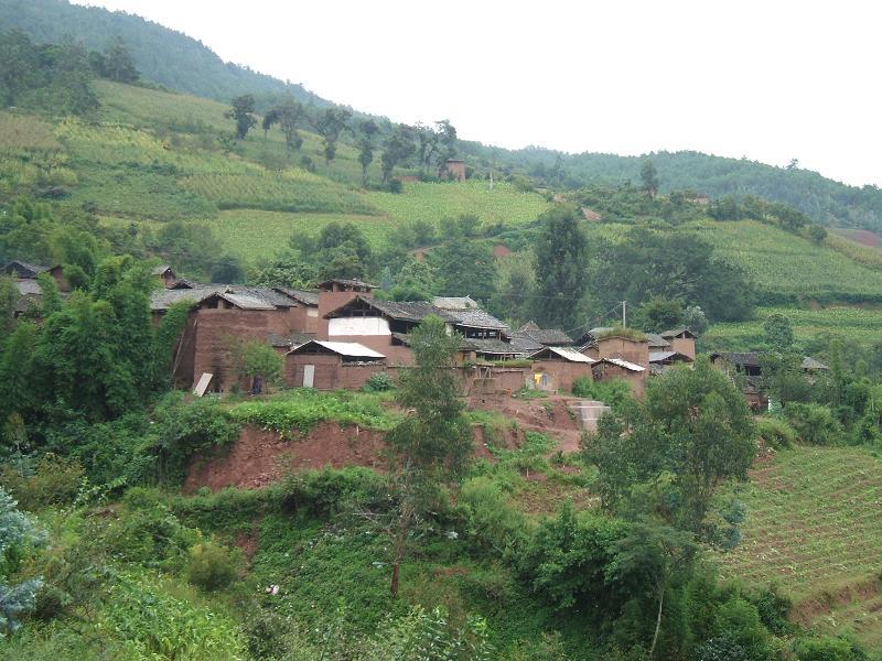 丫口村(雲南省楚雄雙柏縣妥甸鎮下轄村)