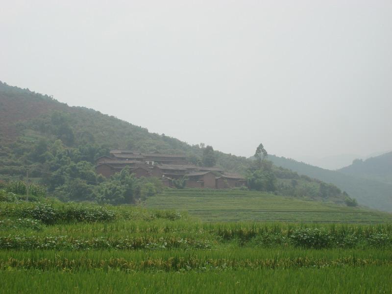 麥地坪村(雲南省楚雄市鹿城鎮山咀子村委會麥地坪村)