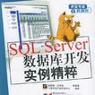 SQL Server資料庫開發實例精粹