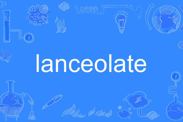 lanceolate