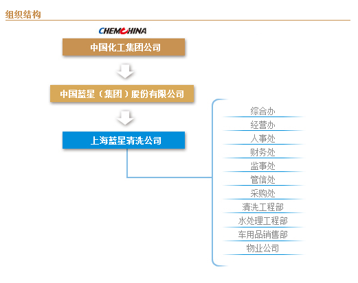 上海藍星清洗公司