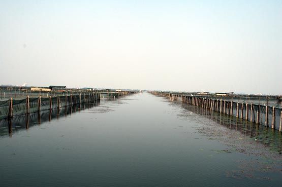 沙家浜鎮陽澄湖大閘蟹基地