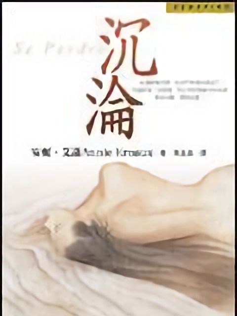 沉淪(2004年皇冠出版的圖書)