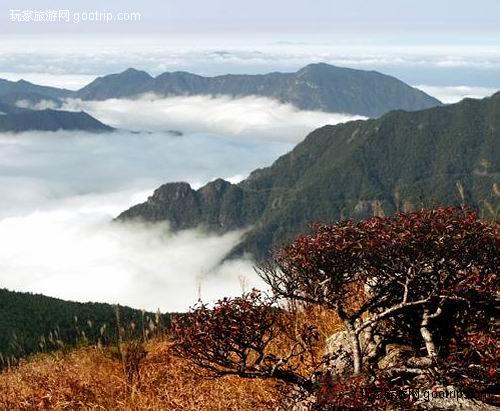 挪威海岸