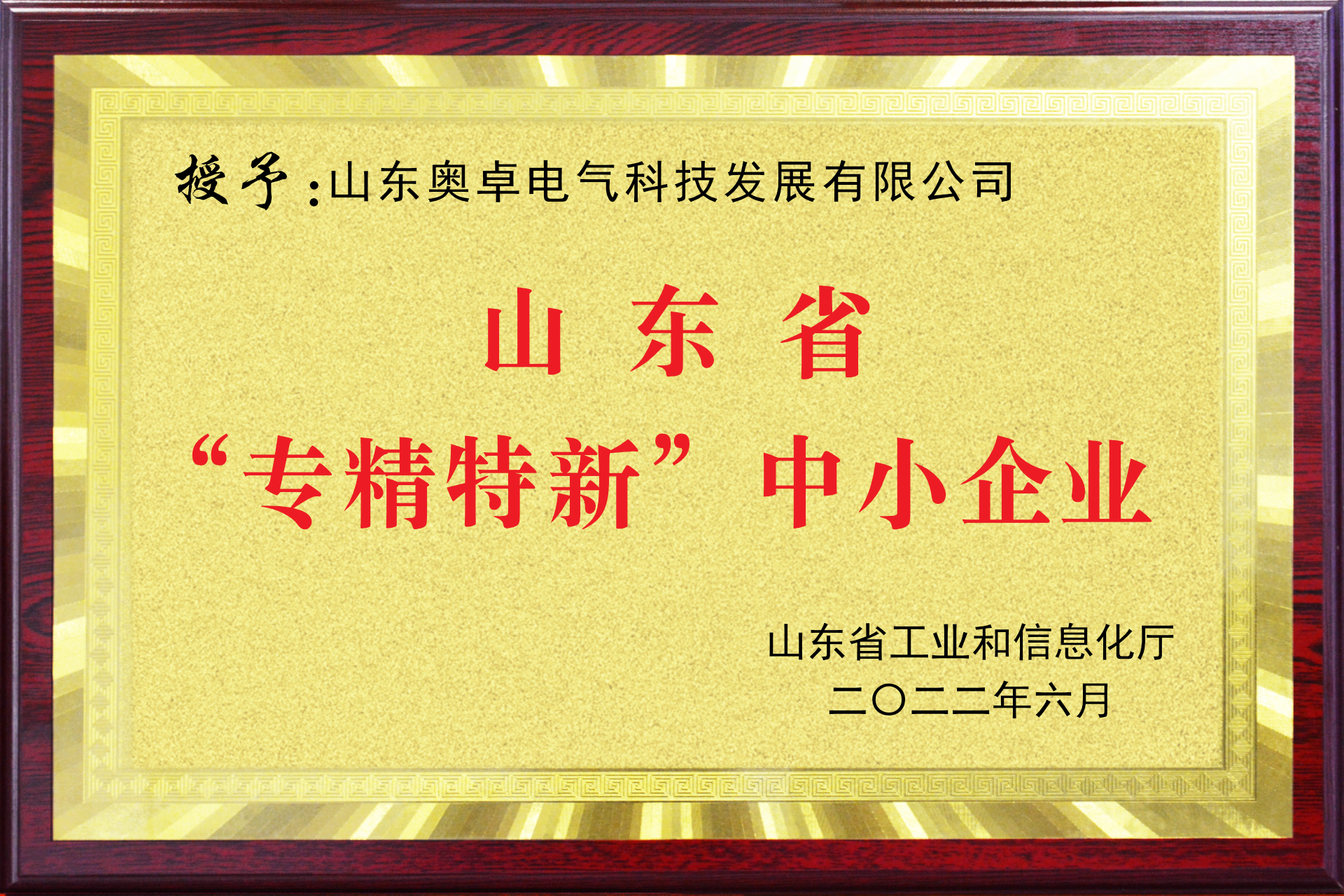 山東奧卓電氣科技發展有限公司