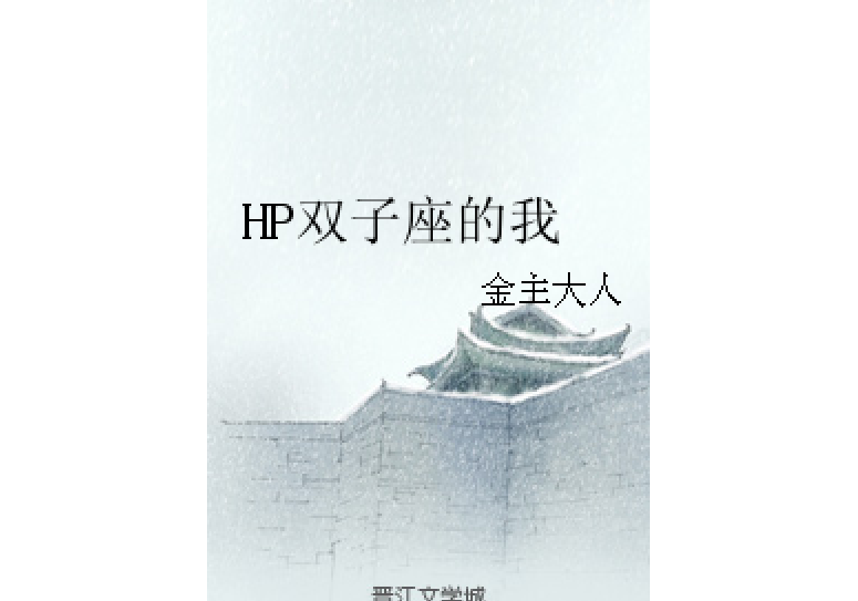 HP雙子座的我