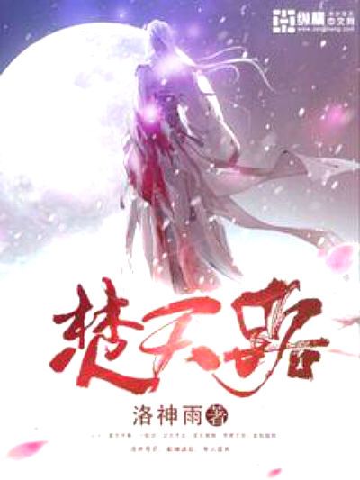 焚天路(洛神雨所著小說)