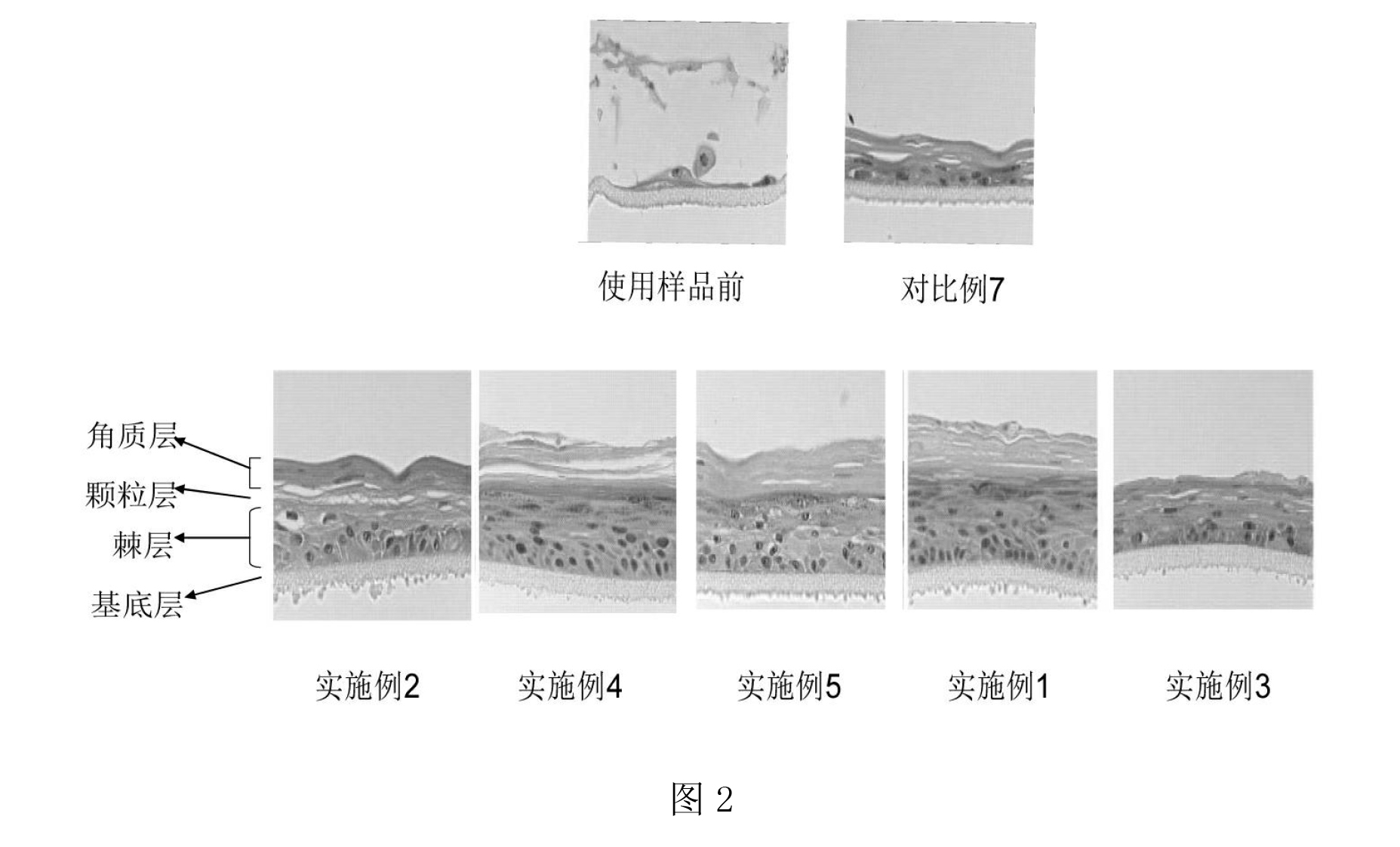 一種抗衰老美容護膚品及其製備方法