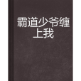 霸道少爺纏上我