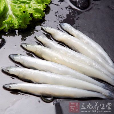武湖銀魚