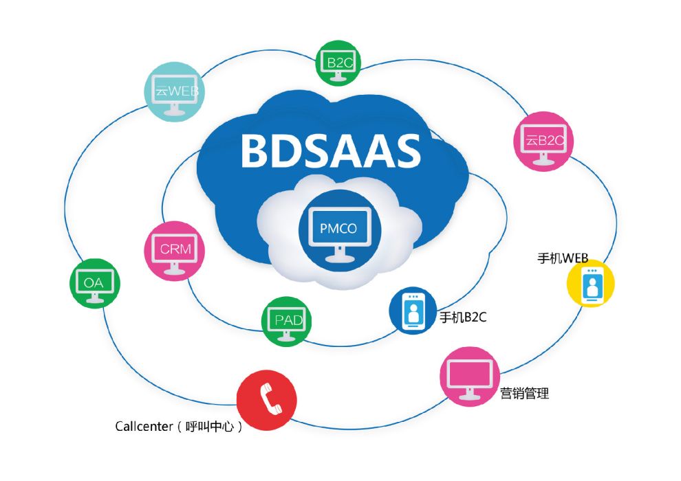 BDSAAS