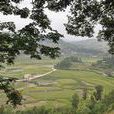 屯上村(福建南平市邵武市下沙鎮下轄村)