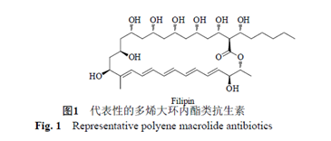 多烯類抗生素