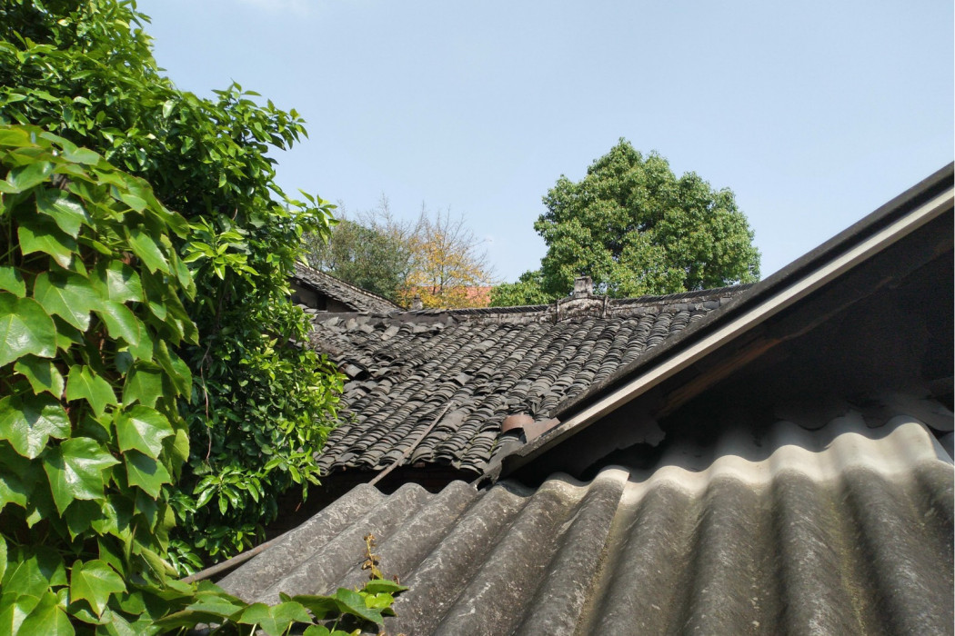 王家大院(四川省自貢市自流井區五星街境內建築)