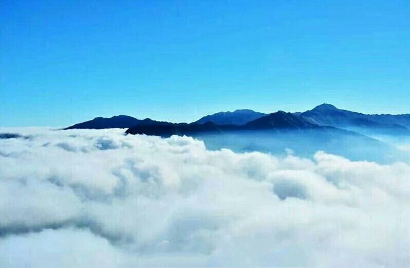 白龍河霧景