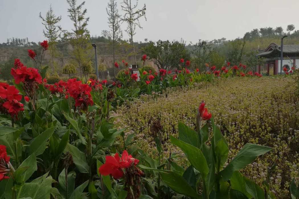 百草坡森林植物園