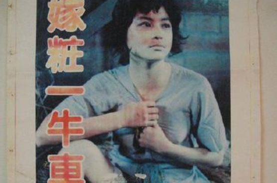 嫁妝一牛車(1984年張美君導演的台灣電影)