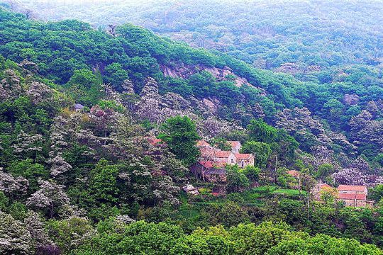 宿城世外桃源風景區