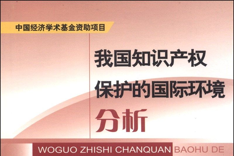 我國智慧財產權保護的國際環境分析