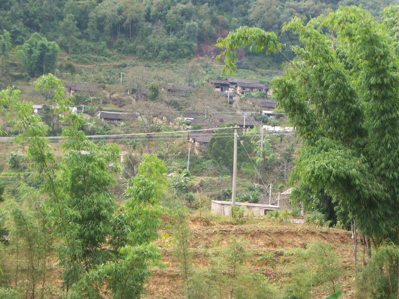 王家寨自然村(雲南省騰衝縣滇灘鎮王家寨自然村)