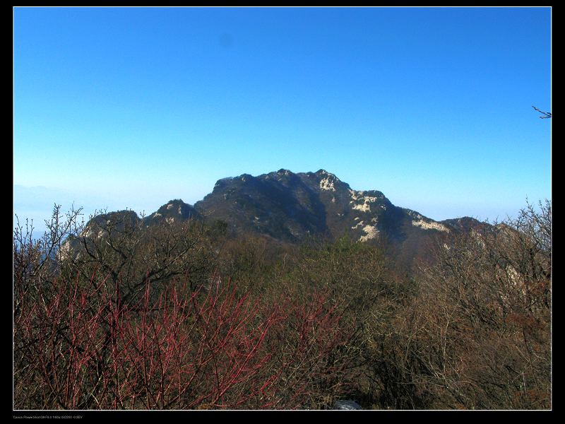 王順山(藍田王順山)