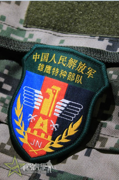 濟南軍區“雄鷹”特種大隊