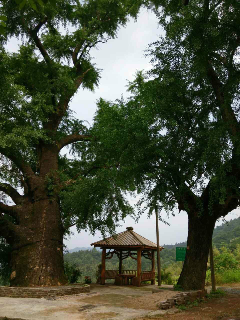 瀏陽市淳口鎮永樂村