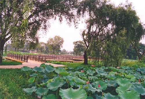 儀征銅山森林公園景色