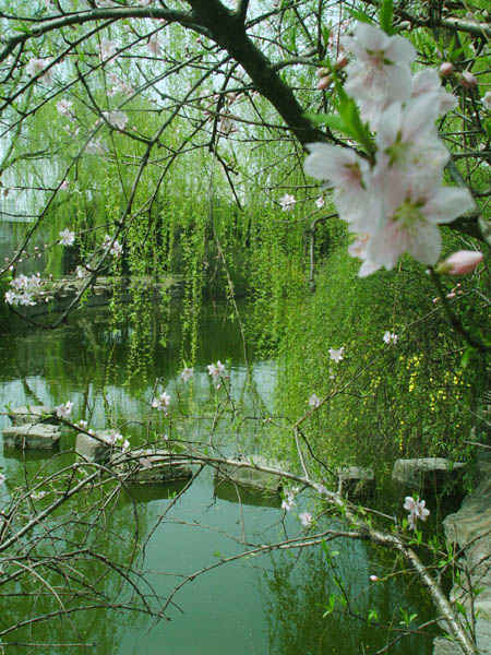 上海財經大學