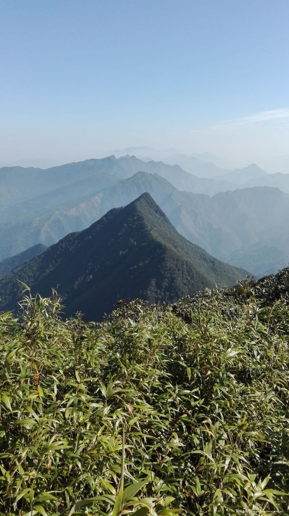 百馬梯田