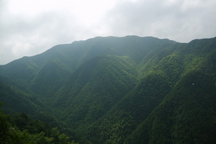 風景這邊獨好