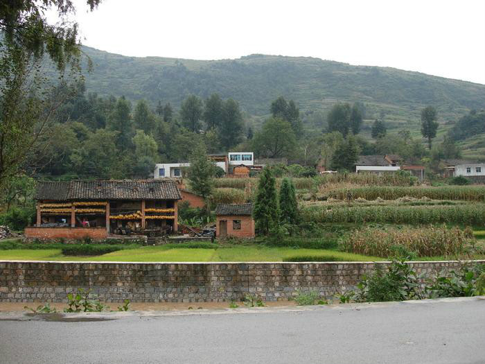 岔河村(雲南宣威市海岱鎮下轄村)