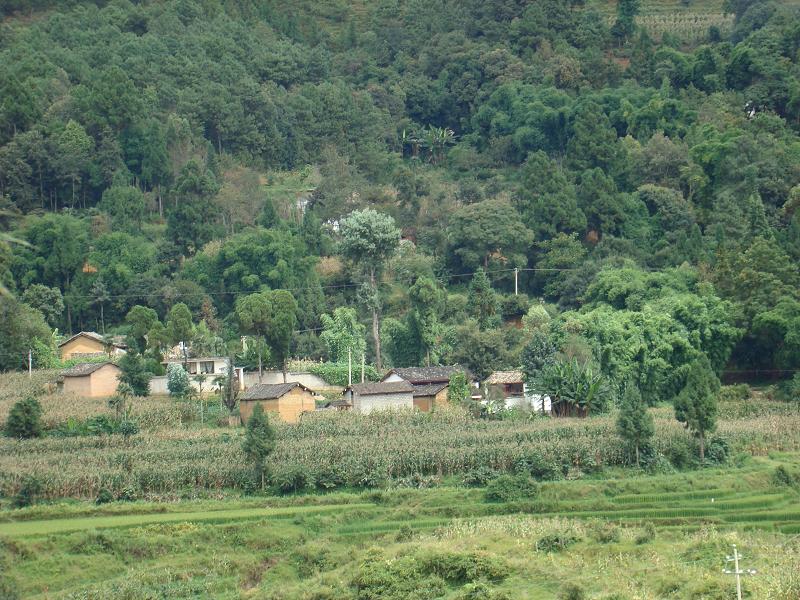 石頭寨自然村(雲南省昌寧縣田園鎮石頭寨自然村)