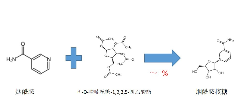 煙醯胺核糖合成方法