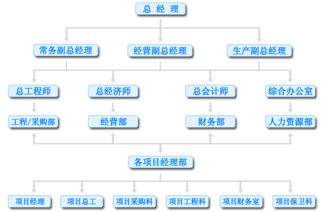 建築業組織結構