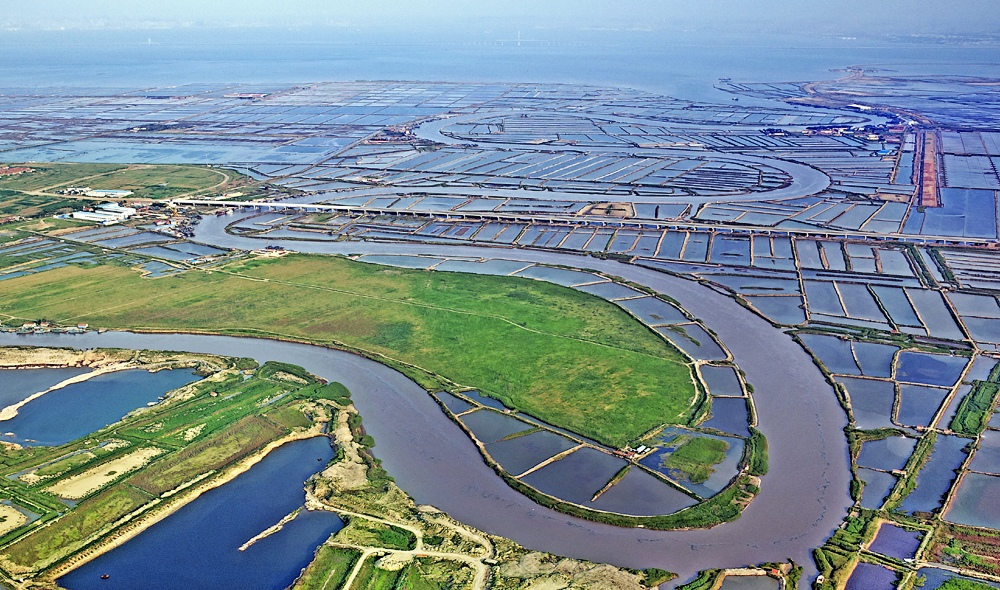 大沽河口地貌