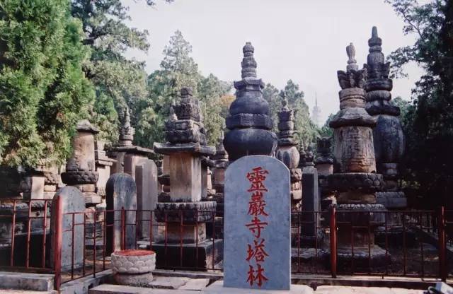 山東靈岩寺塔林