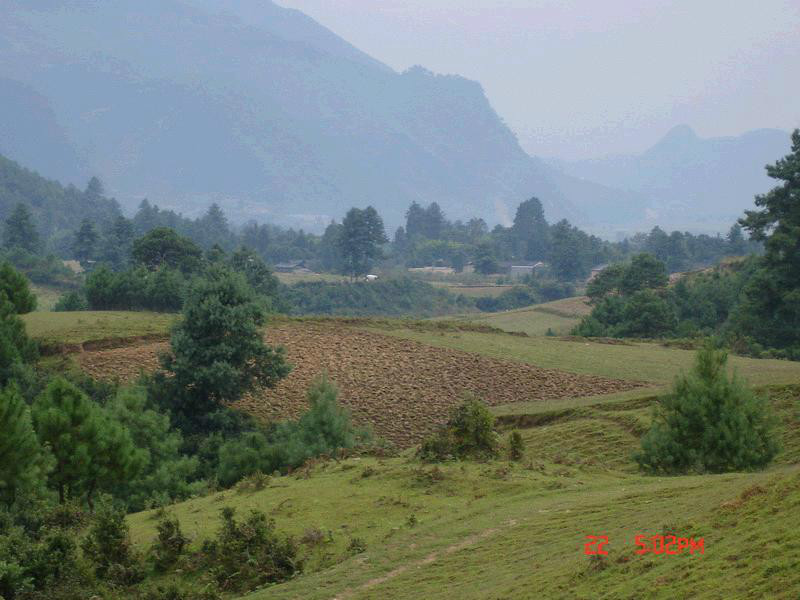 豆地坡自然村