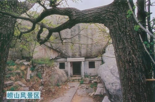 雲洞蟠松