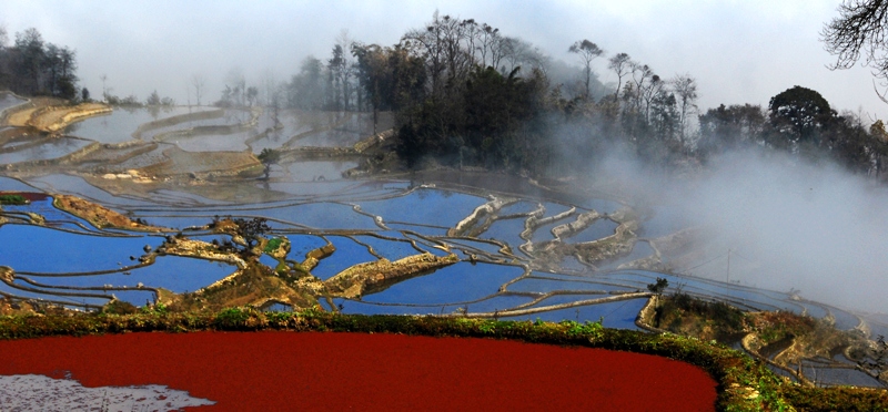 官田一村