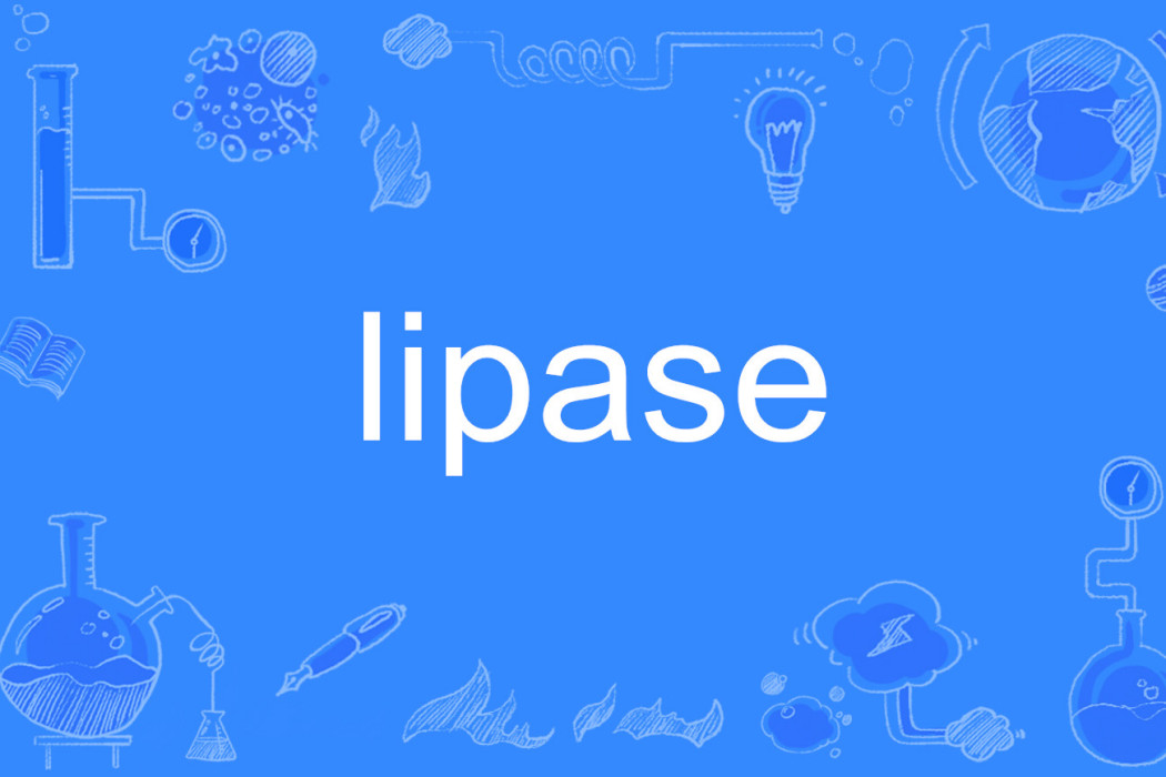 lipase