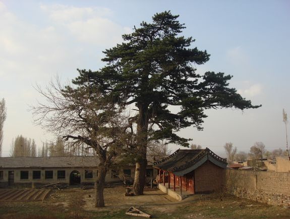 瑞雲寺遺址