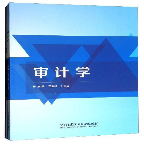 審計學(2017年北京理工大學出版社出版的圖書)