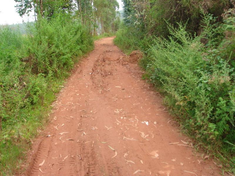 村內道路