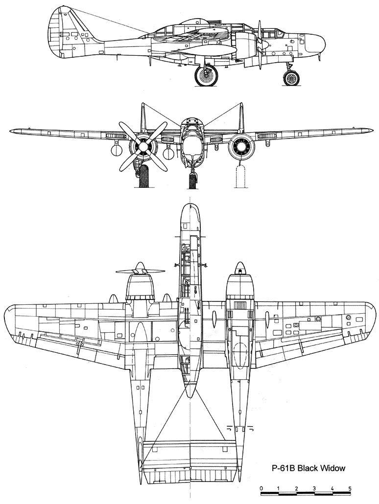 美國P-61黑寡婦戰鬥機