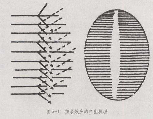 貓眼效應