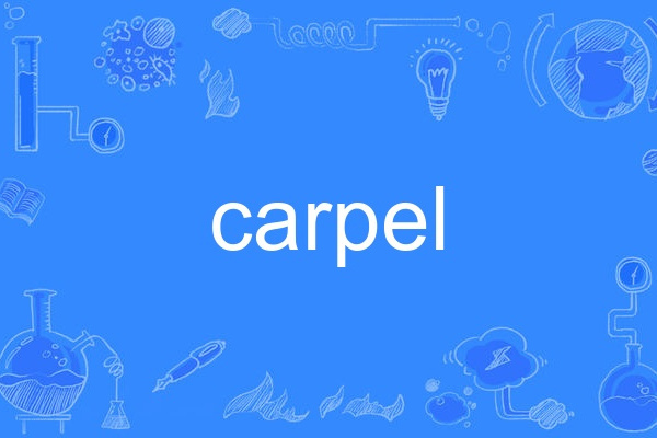 carpel