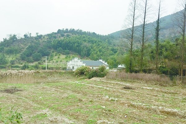 金繩寺遺址