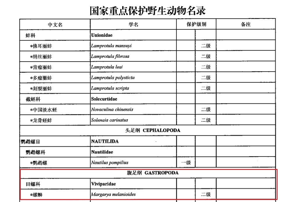 螺螄(田螺科螺螄屬動物)