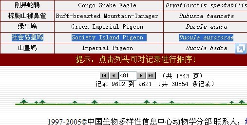 社會島皇鳩